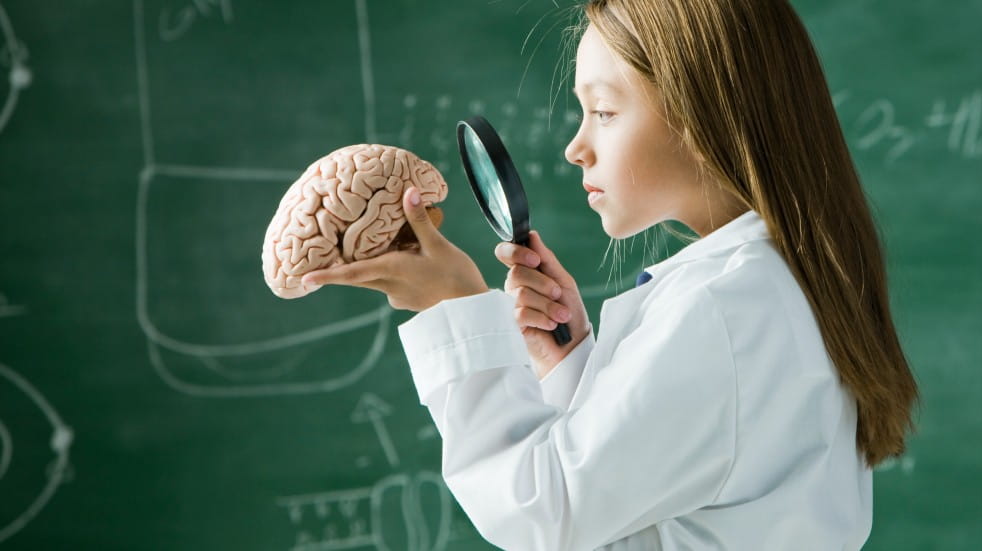 Girl looking at brain through a magnifying glass